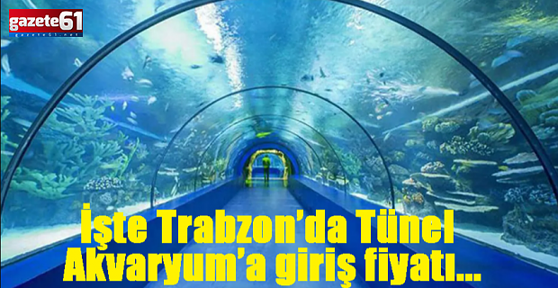İşte Trabzon’da Tünel Akvaryum’a giriş fiyatı...