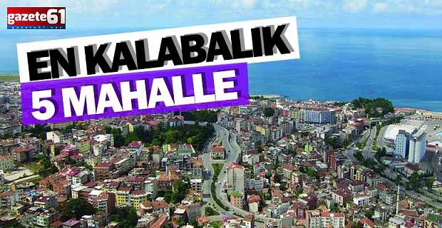 En kalabalık 5 mahalle