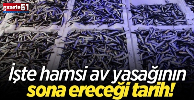 Hamsi avcılığında yasağın biteceği tarih belli oldu