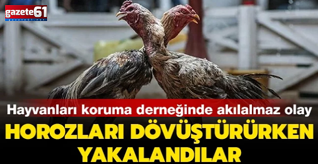 Hayvanları koruma derneğinde akılalmaz olay