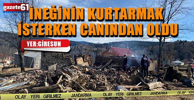 İneğinin Kurtarmak İsterken Canından Oldu
