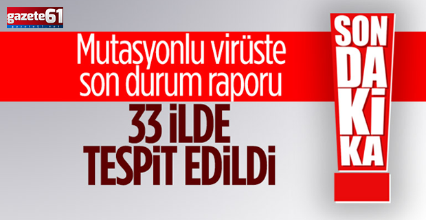 Mutasyonlu virüsün görüldüğü il sayısı 33'e yükseldi