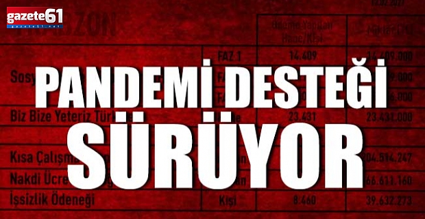 Pandemi desteği sürüyor