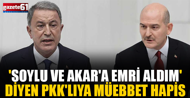 'Süleyman Soylu ve Hulusi Akar'a suikast emri aldım' diyen PKK'lıya müebbet hapis