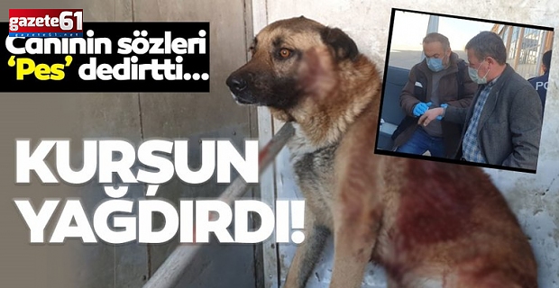 Tüfekli cani köpeğe kurşun yağdırdı!