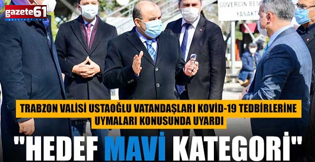 "Hedef mavi kategori"