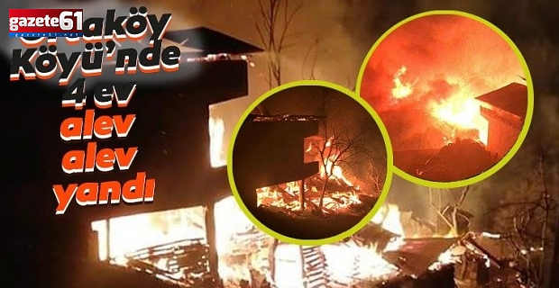 Artvin'de korkutan yangın: 4 ev kül oldu
