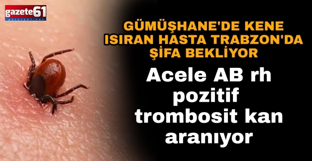 Gümüşhane’de kene ısıran hasta Trabzon’da şifa bekliyor