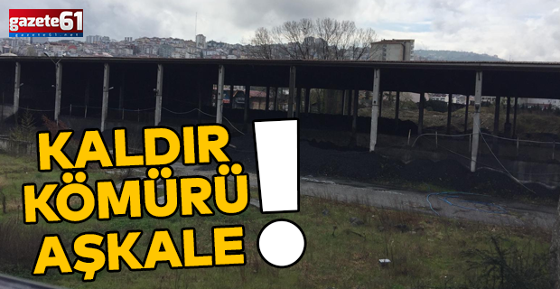 KALDIR KÖMÜRÜ AŞKALE!