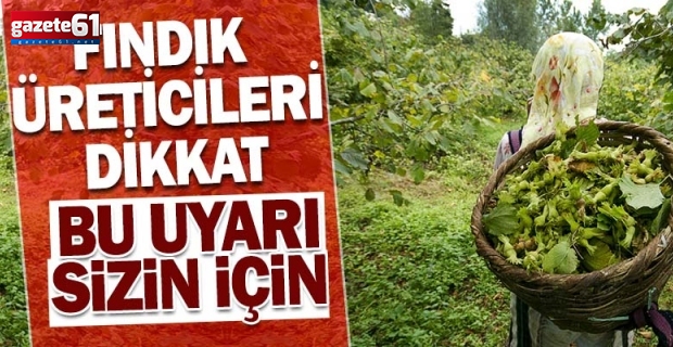 Fındık üreticileri Dikkat Bu Uyarı Sizin İçin