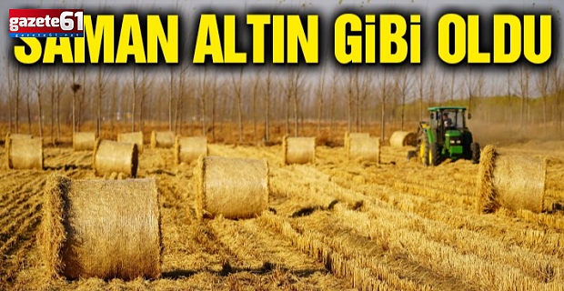 Saman Altın Gibi