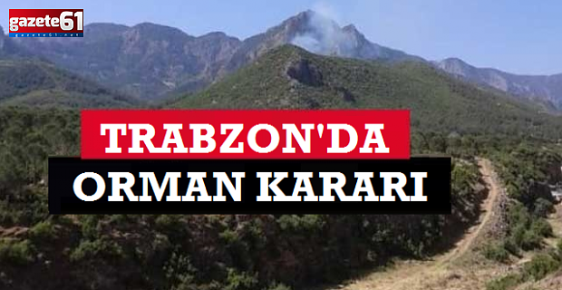 Trabzon’da o ormana giriş yasaklandı