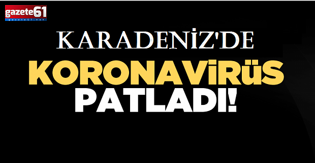 Doğu Karadeniz'de vakalar patladı