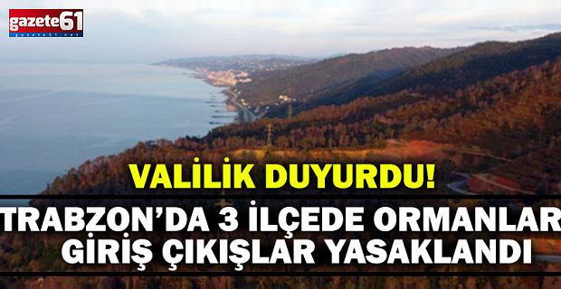Trabzon' da 3 İlçede Ormanlara Giriş Çıkışlar Yasaklandı