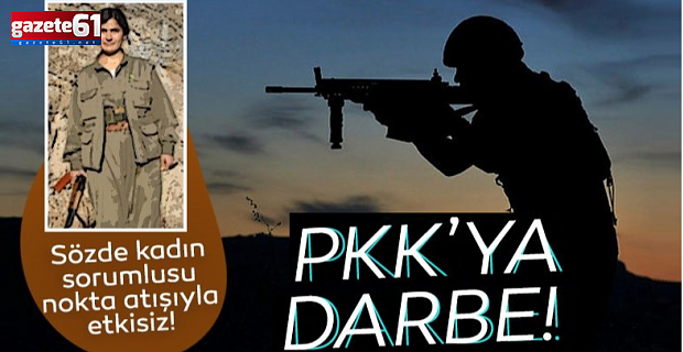 TSK ve MİT'ten PKK'ya darbe