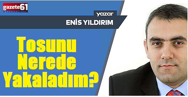 Tosunu Nerede Yakaladım?