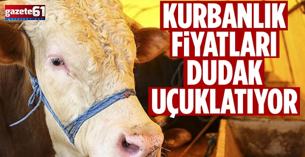 Kurbanlık fiyatları ne kadar?