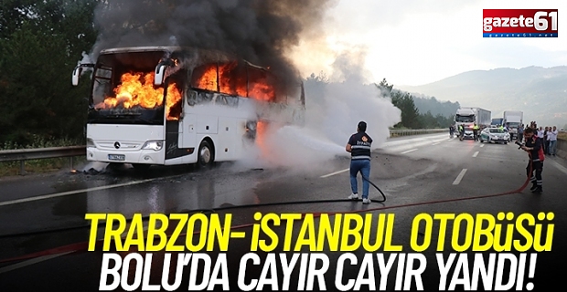Trabzon, İstanbul otobüsü Bolu'da alev alev yandı!