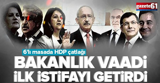 İYİ Parti'de 'HDP'ye bakanlık' istifası