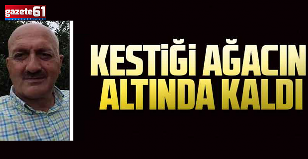 KESTİĞİ AĞACIN ALTINDA KALDI