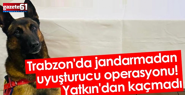 Trabzon'da jandarmadan uyuşturucu operasyonu!