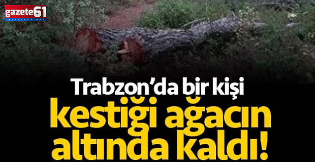 Trabzon'da üzerine ağaç düşen kişi hayatını kaybetti!