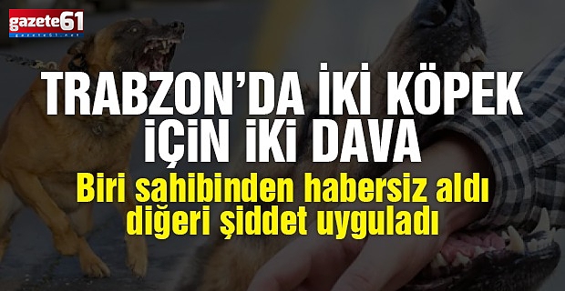 TRABZON'DA İKİ KÖPEK İÇİN İKİ DAVA AÇILDI