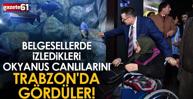 Belgesellerde izledikleri okyanus canlılarını Trabzon'da gördüler!