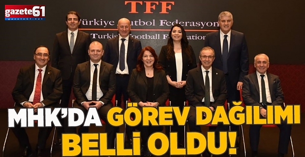 MHK'da görev dağılımı