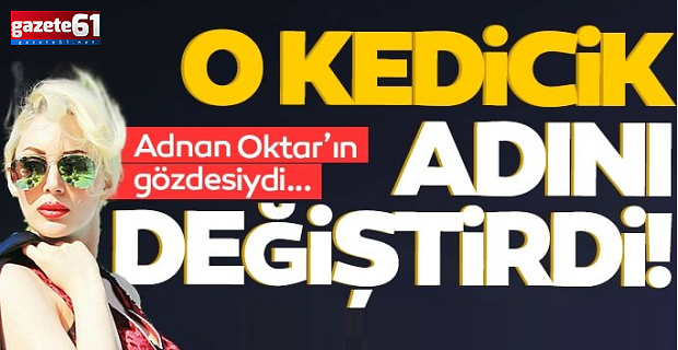 Kedicik Beril adını değiştirdi!