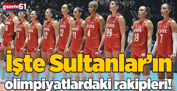 İşte Filenin Sultanları'nın olimpiyatlardaki rakipleri!