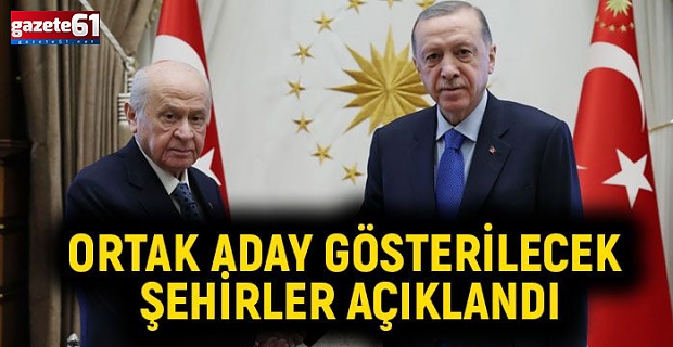 Bahçeli, ortak aday gösterilecek illeri açıkladı