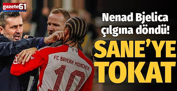 Nenad Bjelica çılgına döndü!