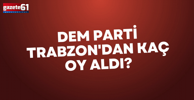DEM Parti Trabzon'dan kaç oy aldı?