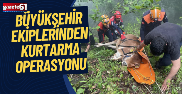 BÜYÜKŞEHİR EKİPLERİNDEN KURTARMA OPERASYONU
