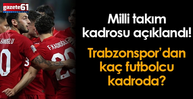 A Milli Futbol Takımı'nın EURO 2024 kadrosu açıklandı!