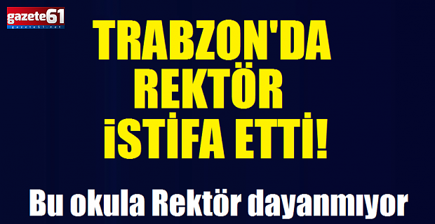 Bu Okula Rektör Dayanmıyor