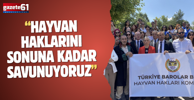 HAYVANLARI KORUMA KANUN TEKLİFİNE SERT TEPKİ