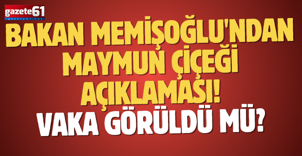 Bakan Memişoğlu'ndan maymun çiçeği açıklaması! Vaka görüldü mü?