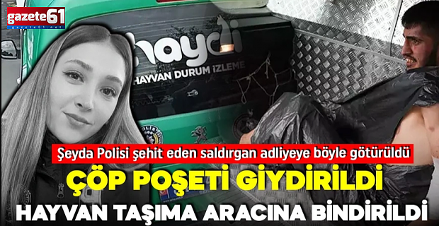 Katile çöp poşeti giydirildi, hayvan koruma aracına bindirildi