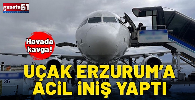 Havada kavga! Uçak acil iniş yaptı