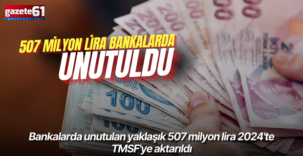 Vatandaşın unuttuğu 507 milyon lira TMSF’ye aktarıldı