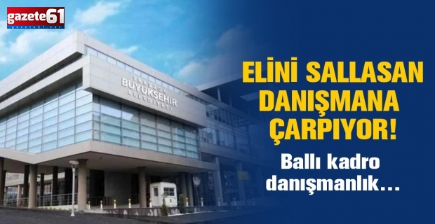 ELİNİ SALLASAN DANIŞMANA ÇARPIYOR!  Ballı kadro danışmanlık….