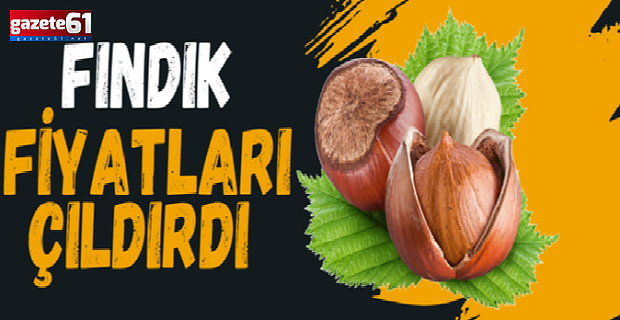Fındık fiyatları çıldırdı! Fiskobirlik öyle bir fiyat açıkladı ki…