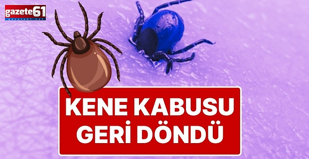 Kabus geri döndü! 2 çocuk annesini hayatını kaybetti