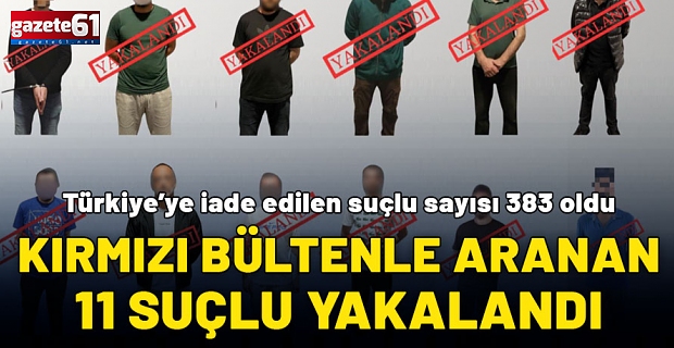 11 suçlu Türkiye'ye getirildi: İade sayısı 383’e yükseldi