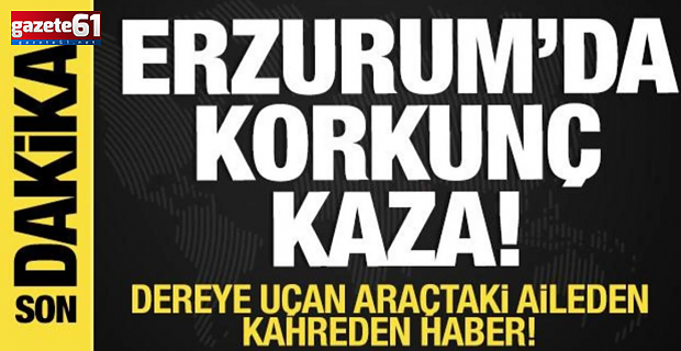 Araç dereye uçtu! Can kayıpları var!