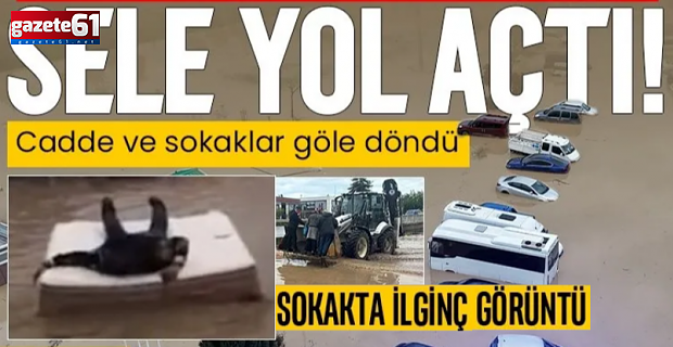 Trabzon Neden Göle Döndü?
