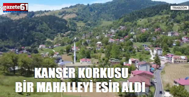 Kanser korkusu Trabzon’da bir mahalleyi esir aldı!