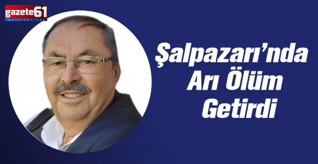 Şalpazarı’nda Arı Ölüm Getirdi